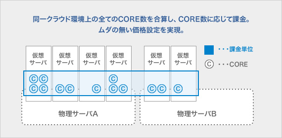 同一クラウド環境上の全てのCORE数を合算し、CORE数に応じて課金。ムダの無い価格設定を実現。