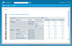 OLAP分析/Jaspersoft OLAP